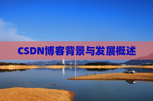 CSDN博客背景与发展概述